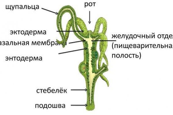 Спрут мега кракен