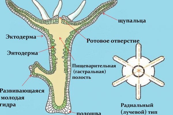 Кракен даркнет официальный сайт