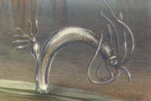 Официальный сайт kraken ссылки зеркала