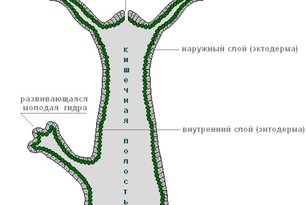 Ссылка на кракен через тор